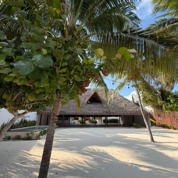 Best Time to Marry in Cancun